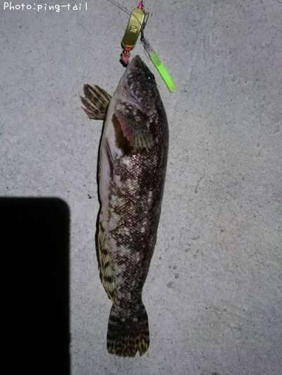 �����ʥ�