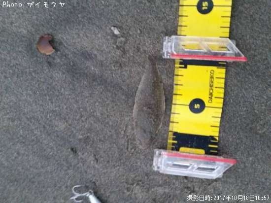 �����ӥ��