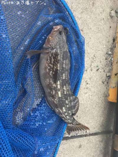 �����ʥ�