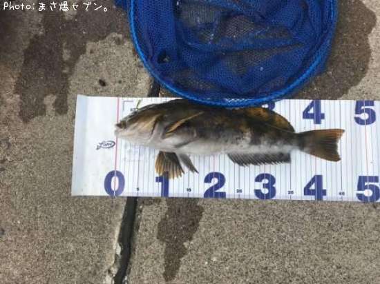 �����ʥ�