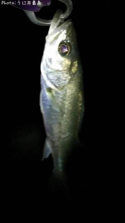 �����Х�