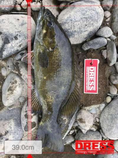 �֥�å��Х�