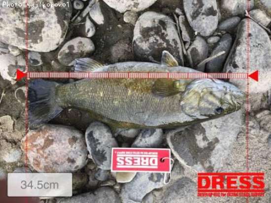 �֥�å��Х�