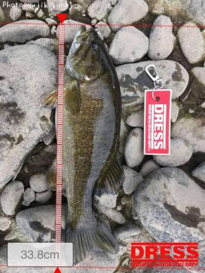 �֥�å��Х�