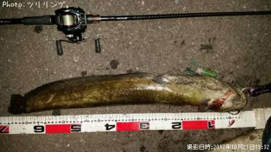 �ʥޥ�