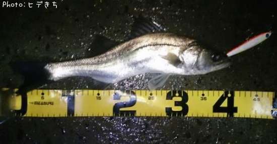 �����Х�