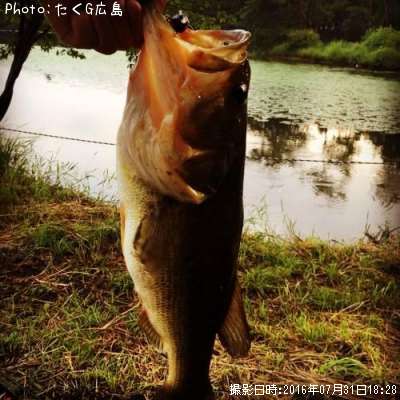 �֥�å��Х�