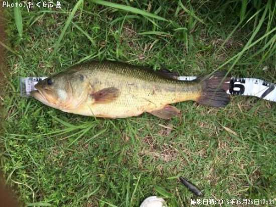 �֥�å��Х�