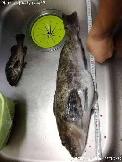 �����ʥ�