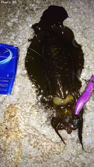 �����ꥤ��