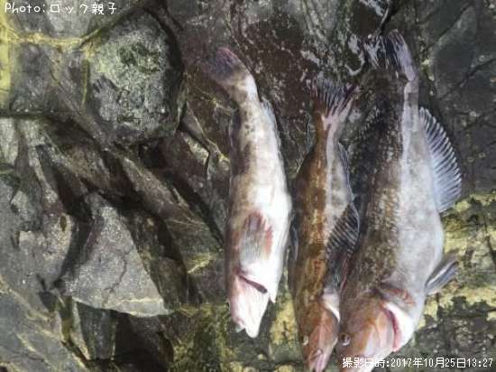 �����ʥ�