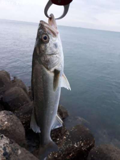 �����Х�