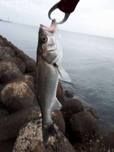 �����Х�