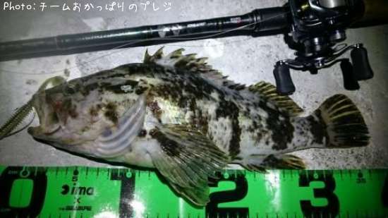 �����Υ���Х�