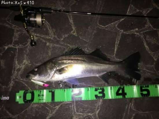 �����Х�