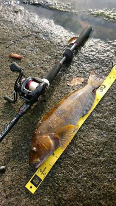 �����ʥ�