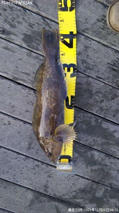 �����ʥ�