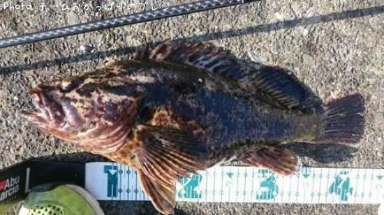 �����Υ���Х�