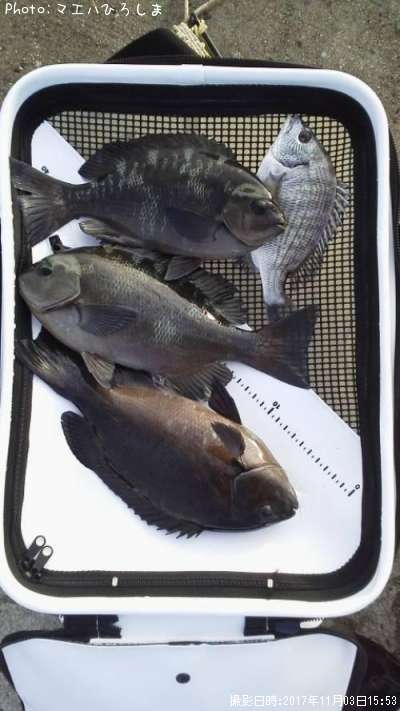 ���졡���