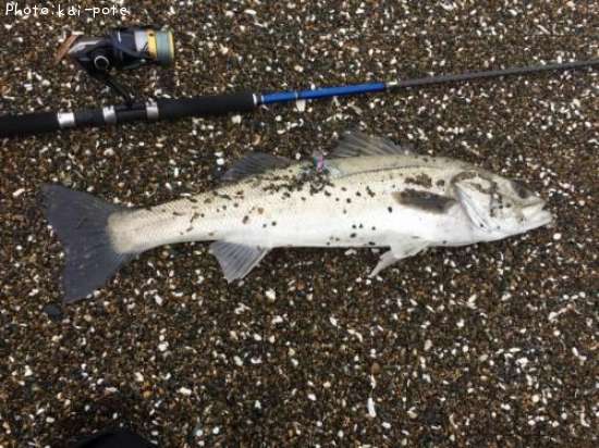 �����Х�