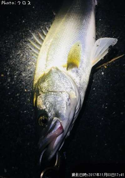 �����Х�