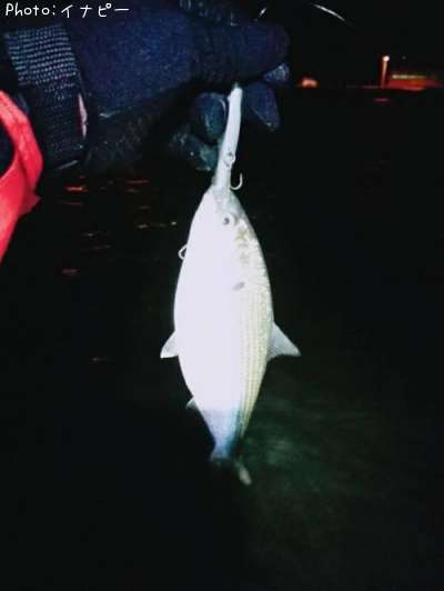 ���Υ���