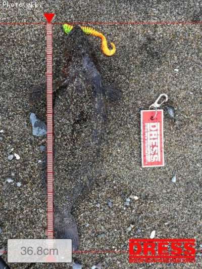 �����ʥ�