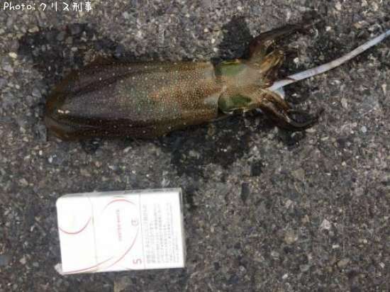 �����ꥤ��