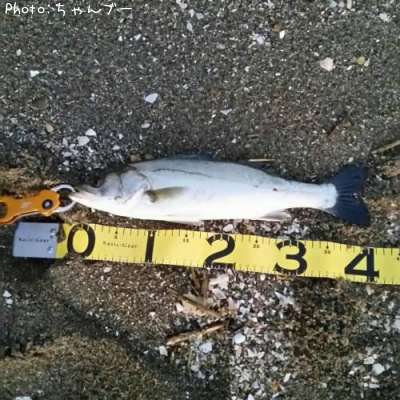 �����Х�