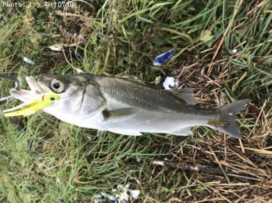 �����Х�