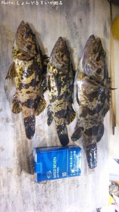 �����Υ���Х�