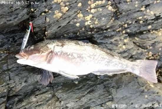 �����ʥ�