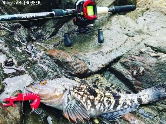 �����ʥ�