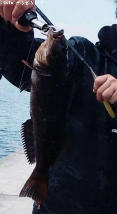 �����ʥ�