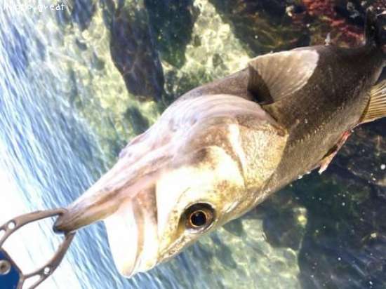 �����Х�