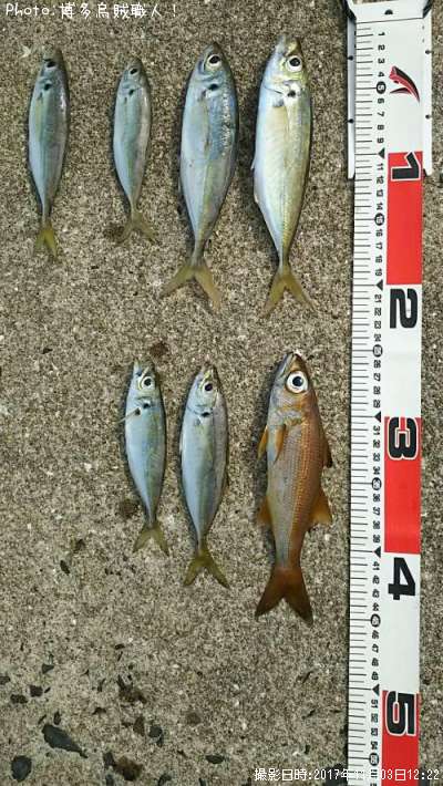 ��ġ�����