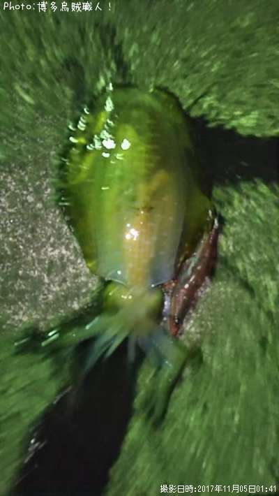 �����ꥤ��