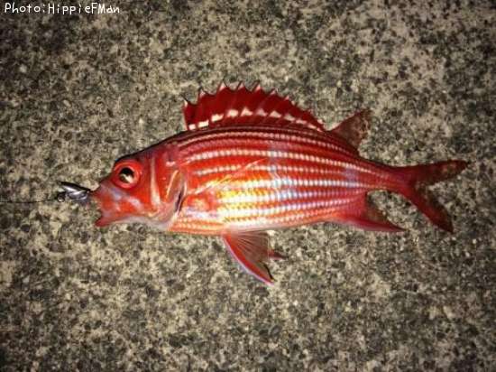 ���åȥ�����