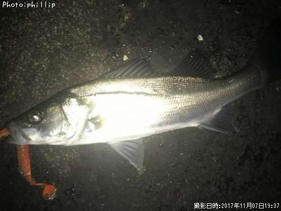 �����Х�