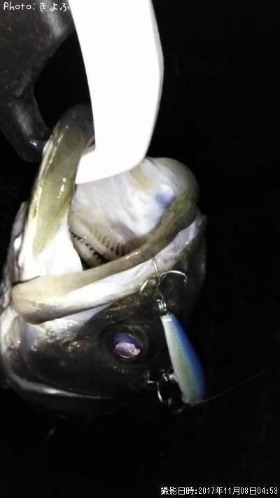 �����Х�