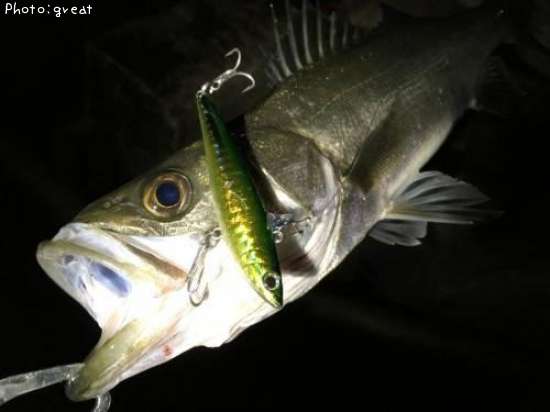 �����Х�