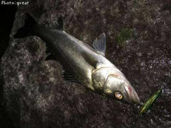 �����Х�