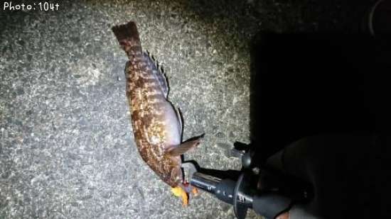 �����ʥ�