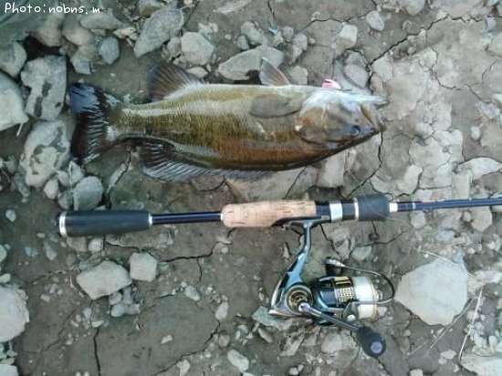 �֥�å��Х�