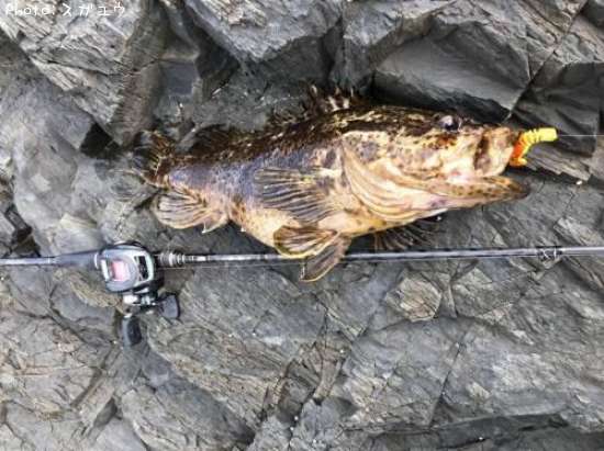 �٥å�������