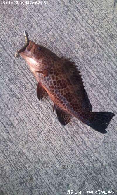 �������ϥ�