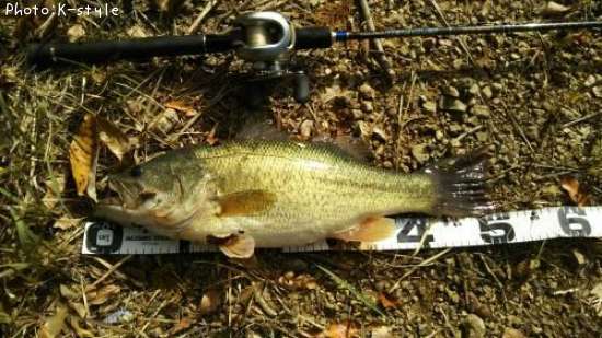 �֥�å��Х�