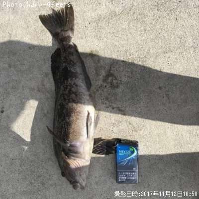 �����ʥ�