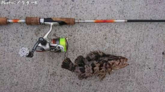 �����Υ���Х�