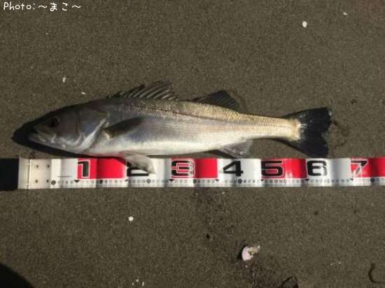 �����ե����Х�